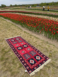 Reversible flat-weave rug Ethno Red