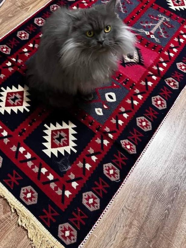 Reversible flat-weave rug Ethno Red